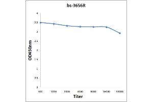 ELISA image for anti-Potassium Voltage-Gated Channel, Shaker-Related Subfamily, Member 7 (KCNA7) antibody (ABIN702205)