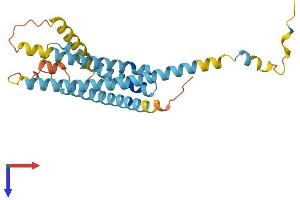 LAPTM5 Protein (AA 1-261) (His tag)