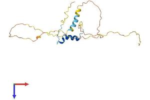 CITED1 Protein (AA 1-193) (His tag)