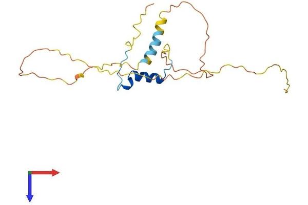 CITED1 Protein (AA 1-193) (His tag)