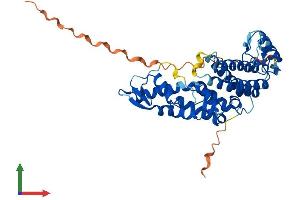 Protein Structure (PS) image for SAC3 Domain Containing 1 (SAC3D1) (AA 1-404) protein (His tag) (ABIN7551685)