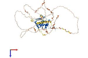 TRAF3IP2 Protein (AA 1-574) (His tag)