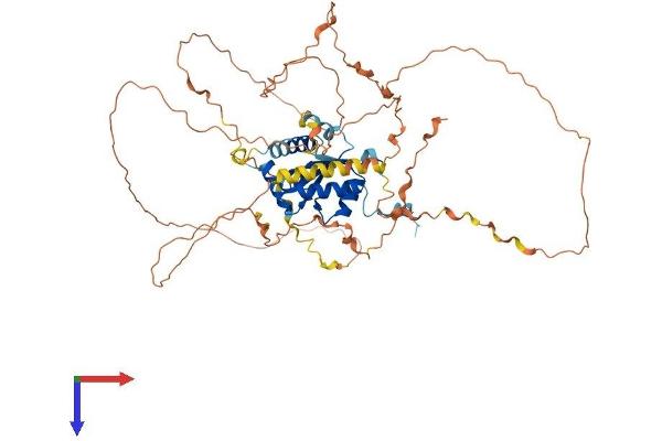 TRAF3IP2 Protein (AA 1-574) (His tag)