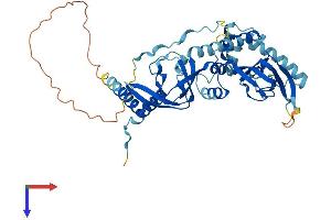 PRKAR2B Protein (AA 1-416) (His tag)