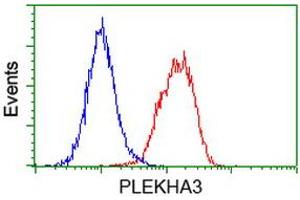 Image no. 3 for anti-Pleckstrin Homology Domain Containing Family A3 (PLEKHA3) antibody (ABIN1500273) (PLEKHA3 Antikörper)