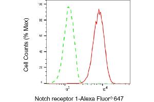 anti-Notch 1 (NOTCH1) antibody