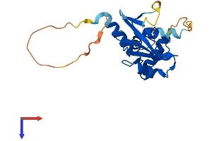 SOCS2 Protein (AA 1-198) (His tag)