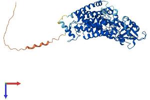LMF1 Protein (AA 1-567) (His tag)
