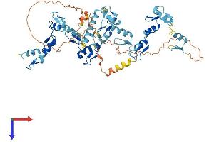 ZNF480 Protein (AA 1-535) (His tag)