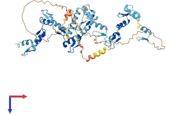 ZNF480 Protein (AA 1-535) (His tag)