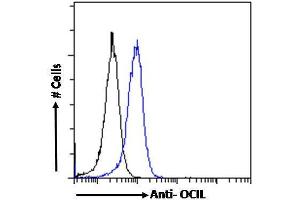 Flow Cytometry (FACS) image for anti-C-Type Lectin Domain Family 2, Member D (CLEC2D) (Internal Region) antibody (ABIN6391372)