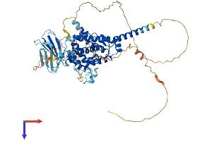 SHQ1 Protein (AA 1-577) (His tag)