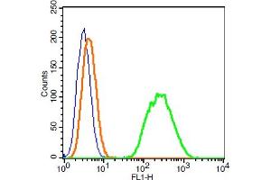 Raji probed with CARD15 Polyclonal Antibody, ALEXA FLUOR® 488 Conjugated (bs-7084R-A488) at 1:100 for 30 minutes compared to control cells (blue)and isotype control (orange). (NOD2 Antikörper  (AA 251-350) (Alexa Fluor 488))