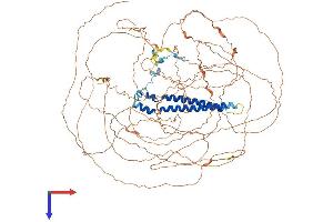 SAP130 Protein (AA 1-1057) (His tag)