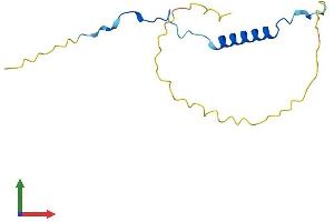 AlphaFold protein structure predicition of Mouse Recombinant Anapc15 Protein, UniprotID P60007