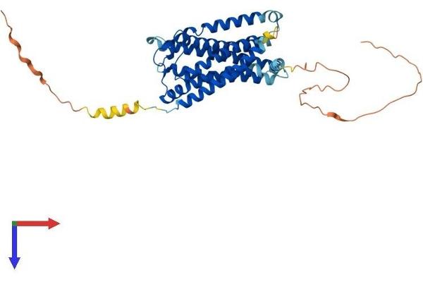 G Protein-Coupled Receptor 182 Protein (GPR182) (AA 1-395) (His tag)