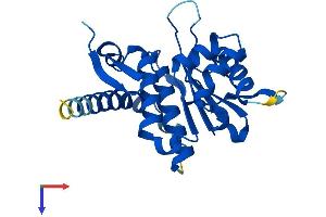 SENP8 Protein (AA 1-221) (His tag)