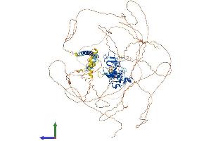 Protein Structure (PS) image for Protein AF-10 (MLLT10) (AA 1-1068) protein (His tag) (ABIN7562423)