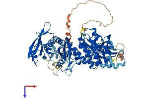 SYK Protein (AA 1-629) (His tag)