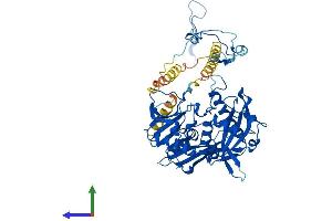 Protein Structure (PS) image for Eukaryotic Translation Initiation Factor 3, Subunit D (EIF3D) (AA 1-548) protein (His tag) (ABIN7562516)