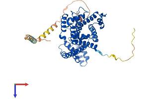 FICD Protein (AA 1-458) (His tag)