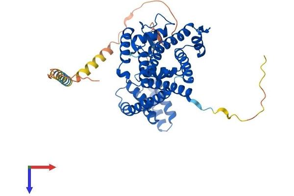 FICD Protein (AA 1-458) (His tag)