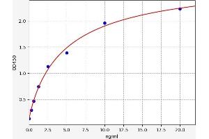 TCF3 ELISA Kit