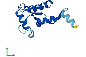 Protein Structure (PS) image for SH3 Domain Binding Glutamic Acid-Rich Protein Like (SH3BGRL) (AA 1-114) protein (His tag) (ABIN7561606)
