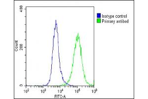 Overlay histogram showing U-87 MG cells stained with (ABIN6242124 and ABIN6578885)(green line). (Solute Carrier Family 17 (Vesicular Glutamate Transporter), Member 6 (SLC17A6) (AA 255-289) Antikörper)