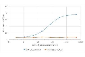 Binding curve of anti-Lag3 antibody C9B7W (ABIN7072564) to recombinant mouse Lag3 Fc-Fusion Protein. (Rekombinanter LAG3 Antikörper)