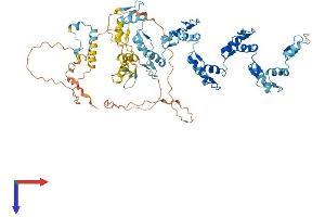 ZNF551 Protein (AA 1-670) (His tag)