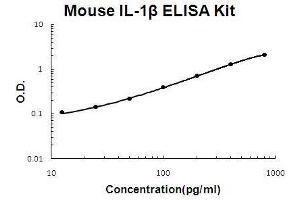 ELISA image for Interleukin 1, beta (IL1B) ELISA Kit (ABIN411294)