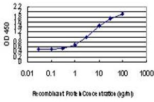 Detection limit for recombinant GST tagged ANGPTL7 is approximately 0. (ANGPTL7 Antikörper  (AA 27-126))