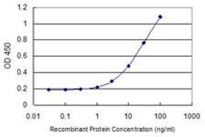ELISA image for anti-Arginase, Type II (ARG2) (AA 1-354) antibody (ABIN513471)