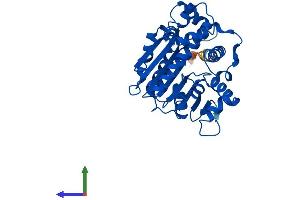 Protein Structure (PS) image for Leucine Carboxyl Methyltransferase 1 (LCMT1) (AA 1-334) protein (His tag) (ABIN7549008)