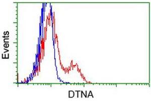 Flow Cytometry (FACS) image for anti-Dystrobrevin alpha (DTNA) antibody (ABIN1497912) (DTNA Antikörper)
