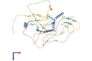 PHACTR4 Protein (AA 1-702) (His tag)