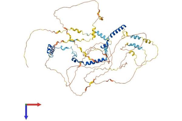 PHACTR4 Protein (AA 1-702) (His tag)