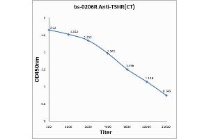 Antigen: 0. (TSH receptor Antikörper  (AA 648-740))