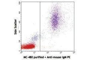 Flow Cytometry (FACS) image for anti-Fucosyltransferase 4 (Alpha (1,3) Fucosyltransferase, Myeloid-Specific) (FUT4) antibody (ABIN2660515) (CD15 Antikörper)
