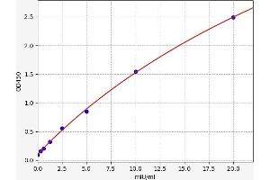 Galactosidase, beta 1 (GLB1) ELISA Kit