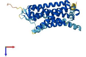 OR1E1 Protein (AA 1-314) (His tag)