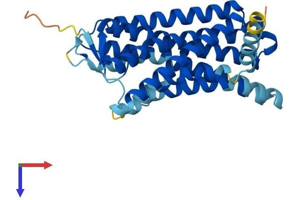 OR1E1 Protein (AA 1-314) (His tag)