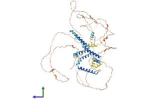 Protein Structure (PS) image for Reticulon 1 (RTN1) (AA 1-780) protein (His tag) (ABIN7559443)