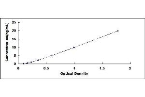 Typical standard curve (C5 ELISA Kit)