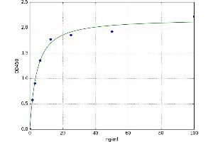A typical standard curve