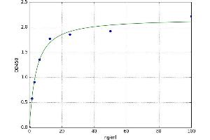 A typical standard curve (DAO ELISA Kit)