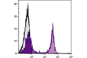 anti-Biotin antibody (Alkaline Phosphatase (AP))