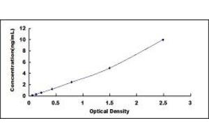 Typical standard curve (SGSH ELISA Kit)