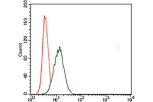 Immunohistochemical analysis of paraffin-embedded cervical cancer tissues using T antibody with DAB staining. (T Antigen (AA 257-309) Antikörper)